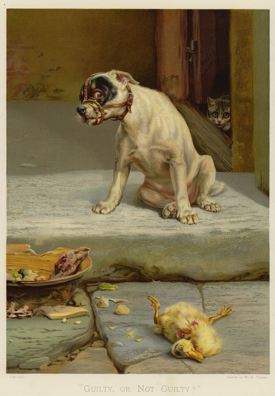 4-William-Henry-Hamilton-Trood-Guilty-or-Not-Guilty-chromolitho-Meister-Drucke-201434