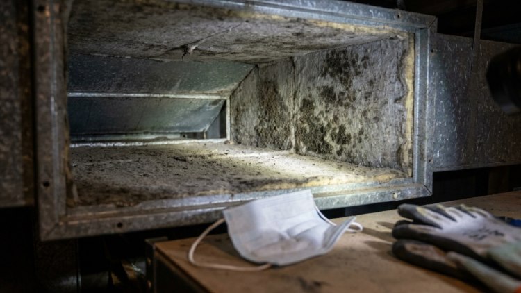AC Duct Mold and Sinusitis