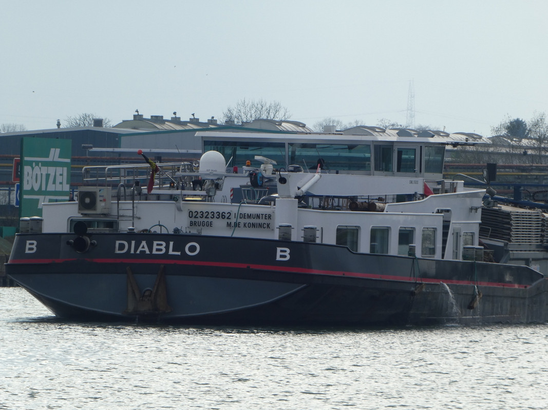 P1120825 (1620x1215)