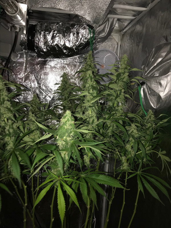 2245783B-1939-4C12-80FE-95D10A5E6754