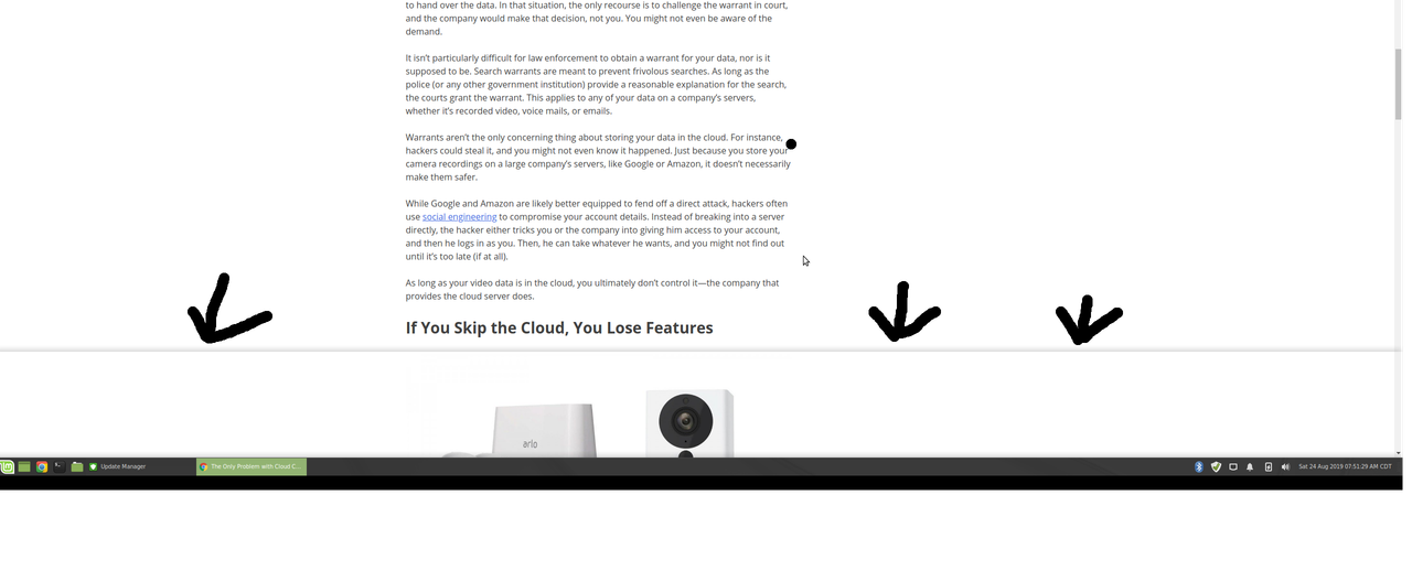 Gray line through bottom of monitor in Linux Mint - Linux & Unix