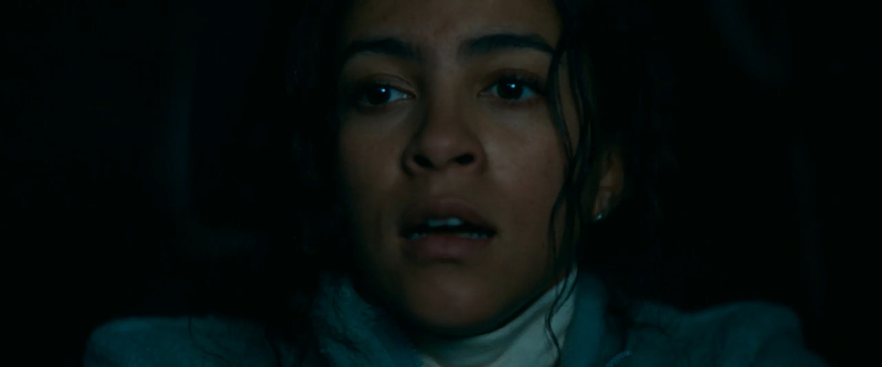 Passenger 2026 WebRip [Hindi + English] 480p 720p ESub Screenshot