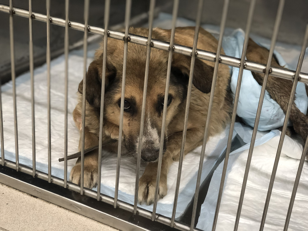 DF46E52D-CF4C-4DEA-8C95-17863C0607B9