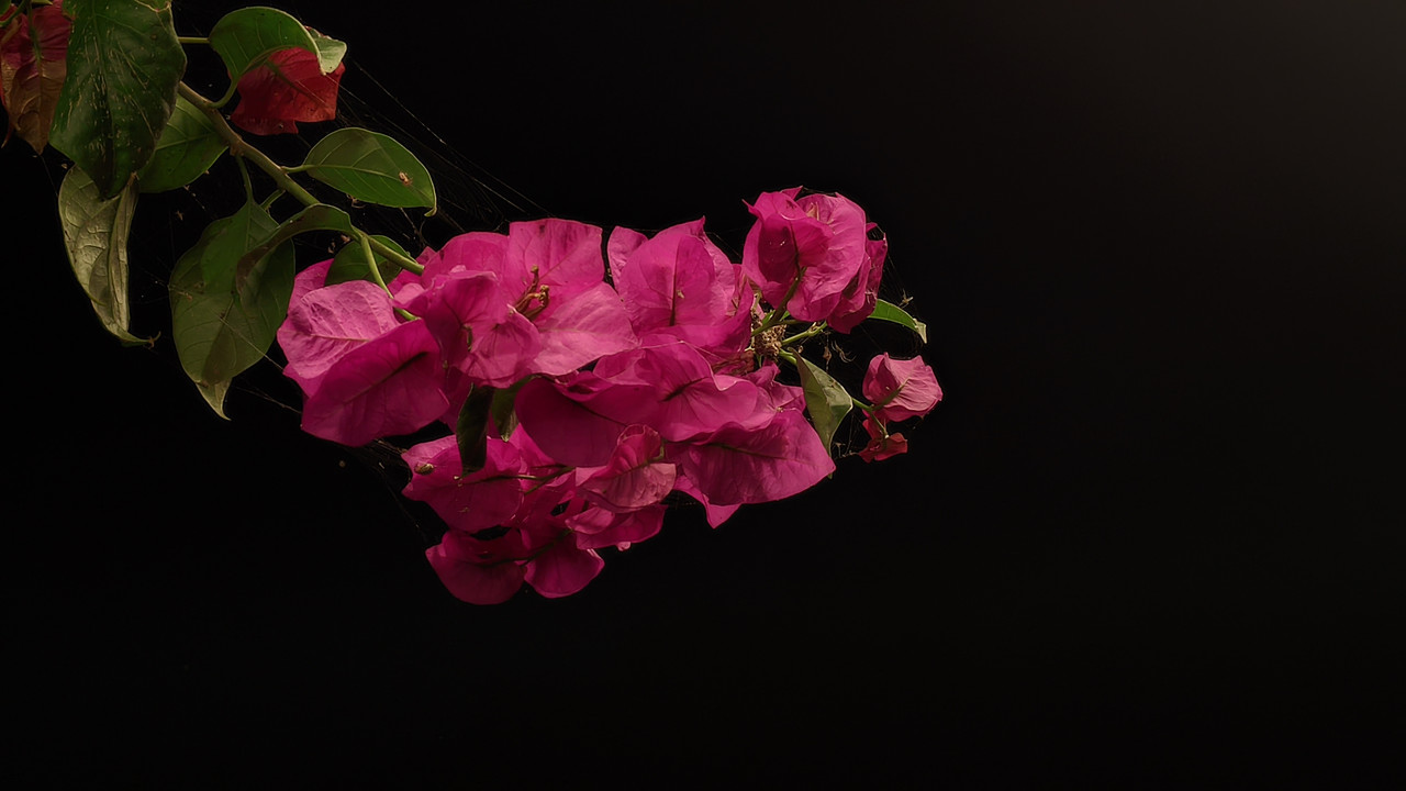 LMC-20251231-212403-lmc-8-4