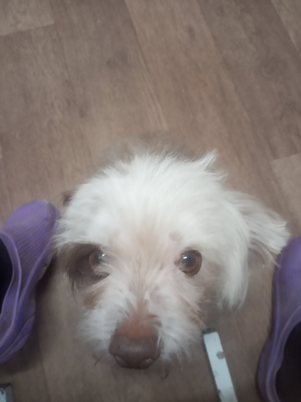 3CB2ACCD-EDB0-4F81-98FD-49CC3AB0257F