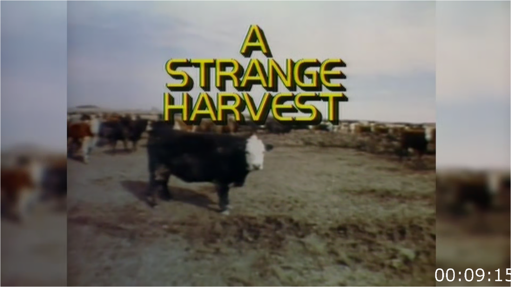 [Image: iaih81npsp99.png]