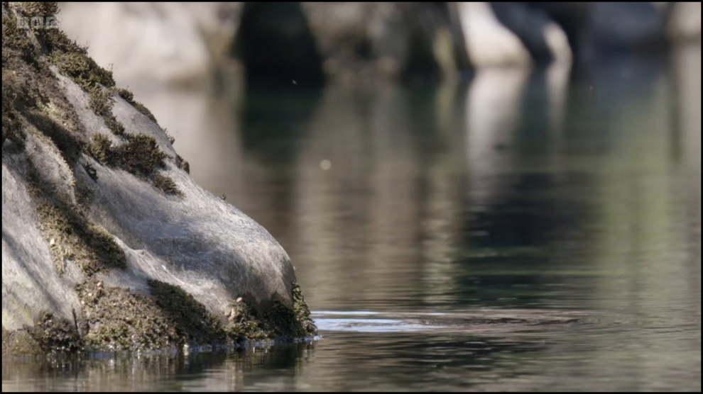 [Image: am1co5j54aqc.png]