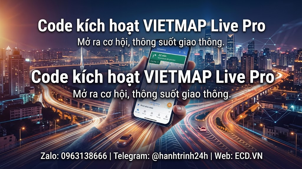 vietmap pro for delivery