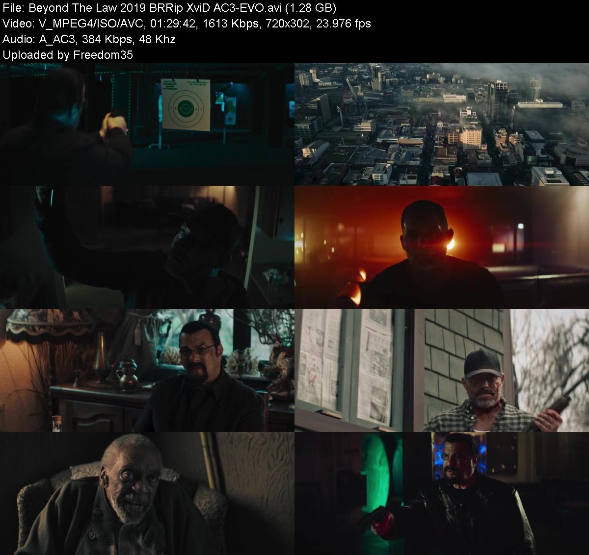 Beyond-The-Law-2019-BRRip-Xvi-D-AC3-EVO.