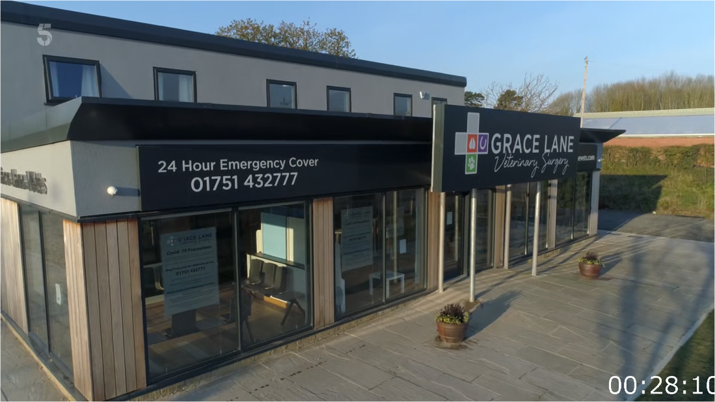 [Image: afb2k780xsxn.png]