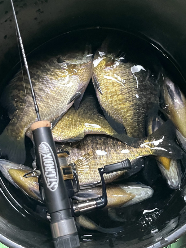 38FE82FB-750C-451E-B46D-22600D31EEC7