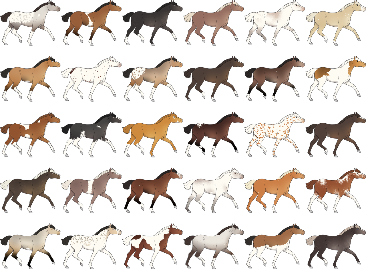 GDD Coat Colors