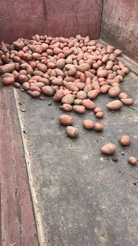 4D193741-01DD-4E50-8415-45210678C3D8