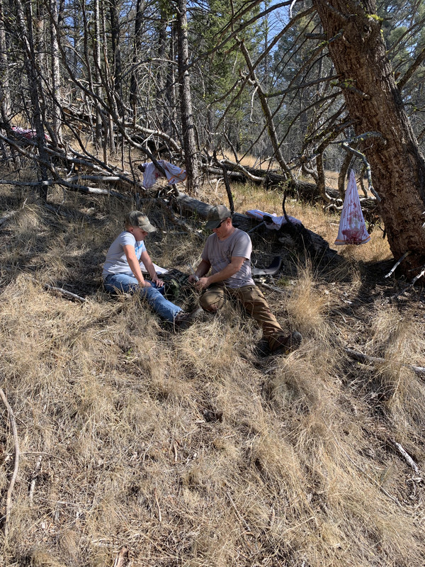 E3B14F37-8DF6-4602-ABBB-8359F86FEC73