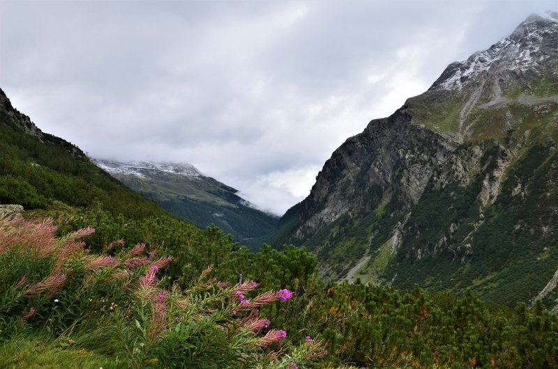GUARDA-7-9-2019 - Suiza y sus pueblos-2019 (28)