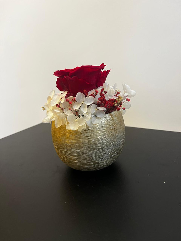 Whats App Image 2026 02 02 at 12 43 26