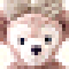 338