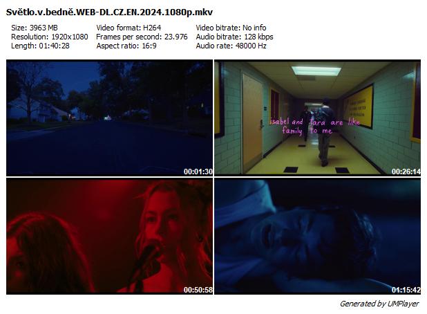 Světlo v bedně / I Saw the TV Glow (2024)