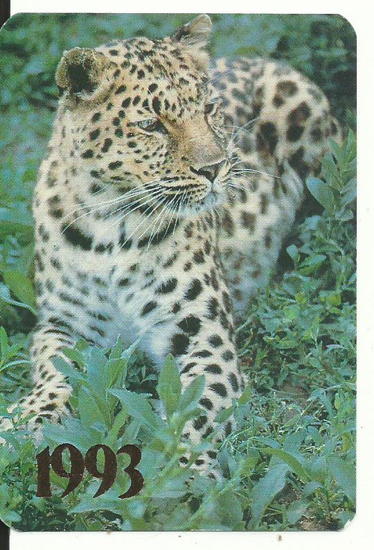 Scan1332
