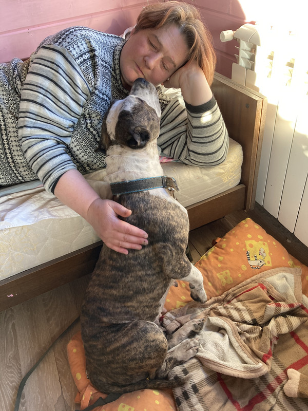 98E4C02D-73DB-4D99-A24F-53B72C3E6AD4