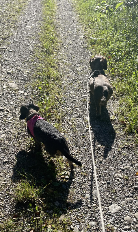 [Image: IMG-7726.jpg]