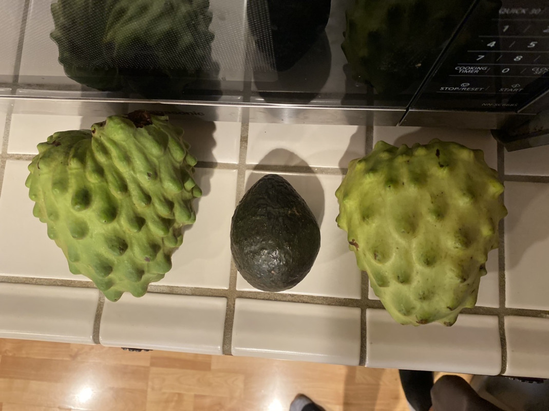 C8B1A4F8-A4CA-4313-9920-0C300394D23E