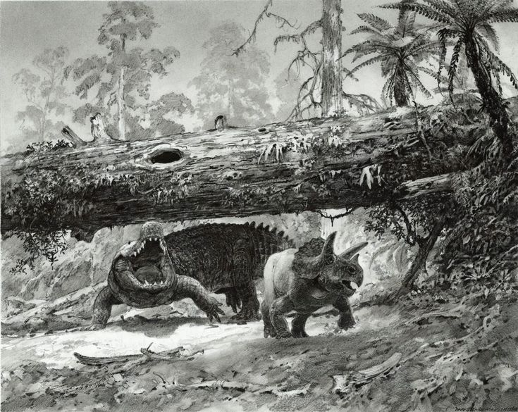 591020caef1a2f40aea486c76f20f9dc