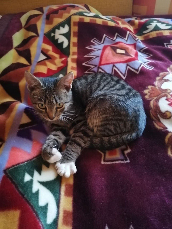 photo_2021-10-01_15-11-20