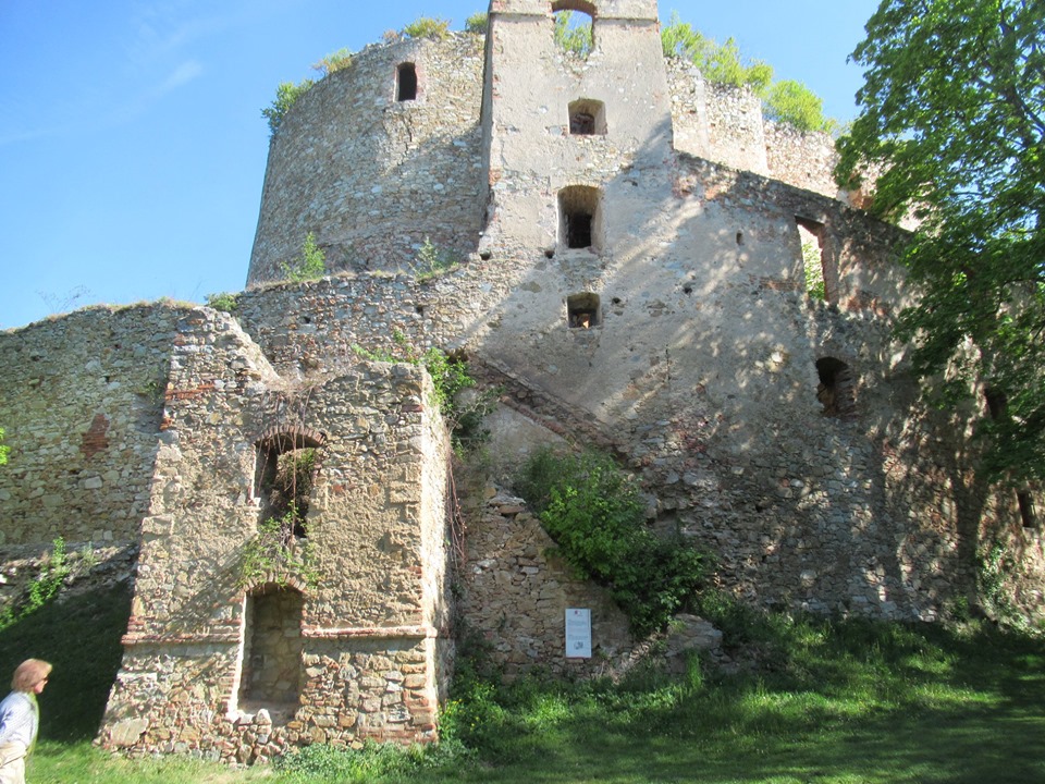 Kép