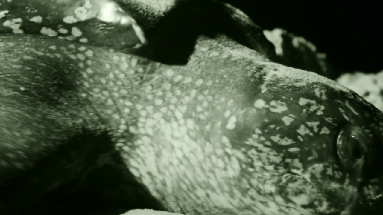 vlcsnap 2026 02 17 09h50m25s608