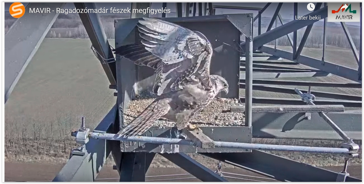 Screen Shot 03-10-22 at 09.59 AM