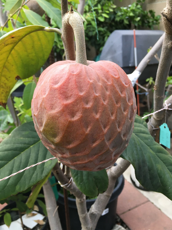 3E840CEA-9168-42F1-B586-EBB7360255A2