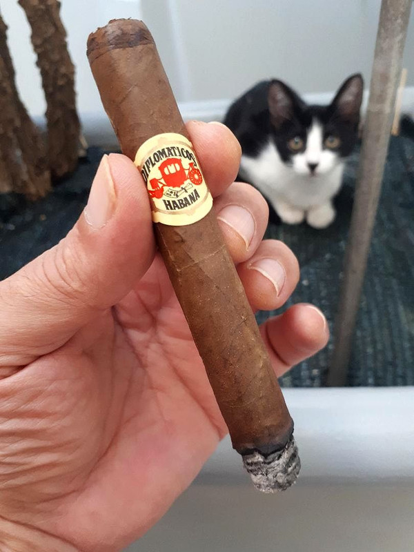 50340925172_d91fd779fa_o