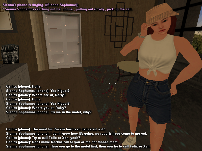 SSRP219.png