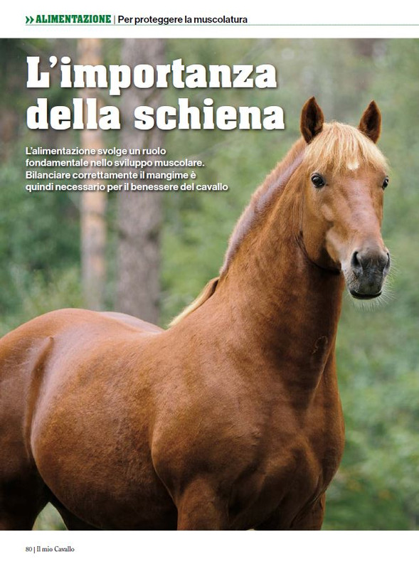 Il Mio Cav (Mag-Giu 2024) 9