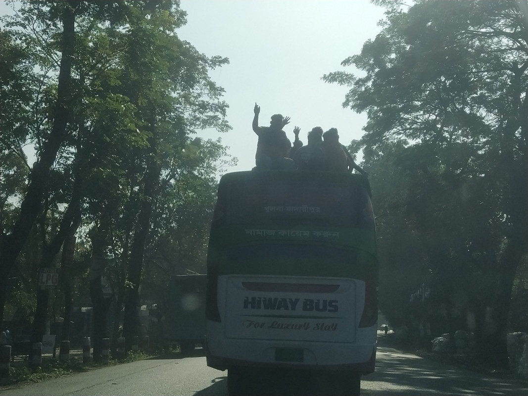 Бенгальский фьюжн с коровами на деревьях, или Бангладеш в обрамлении двух Индий