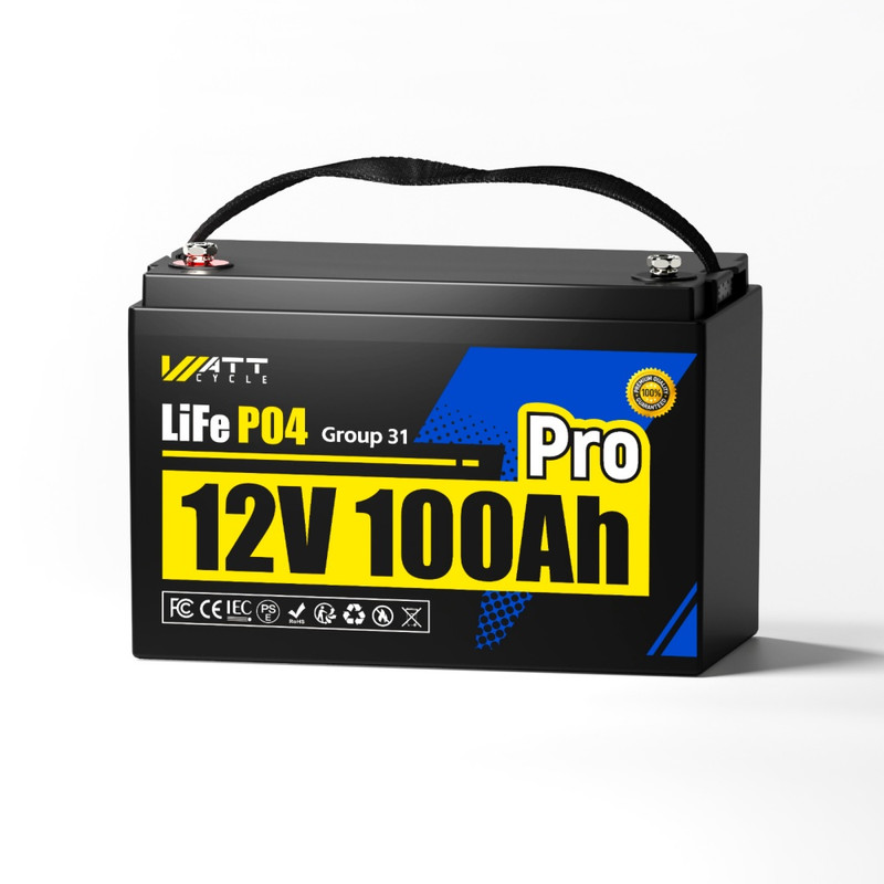 WT12V100AH100PRO