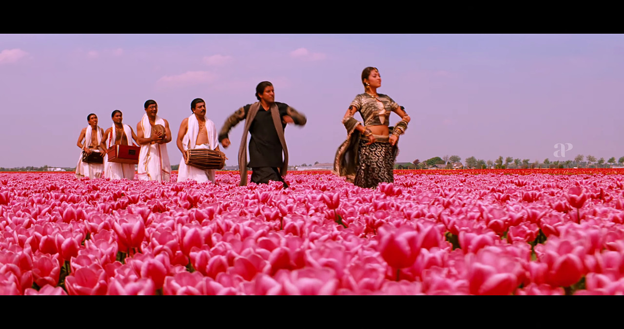 VideoCapture_20241122-200744