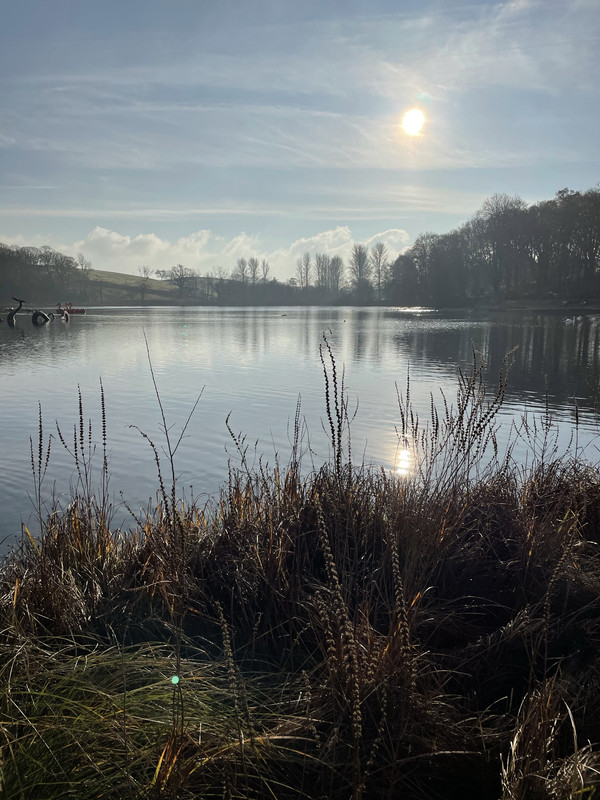 D0DD54D1-05A9-4E7F-AAA9-3821F9927DEB