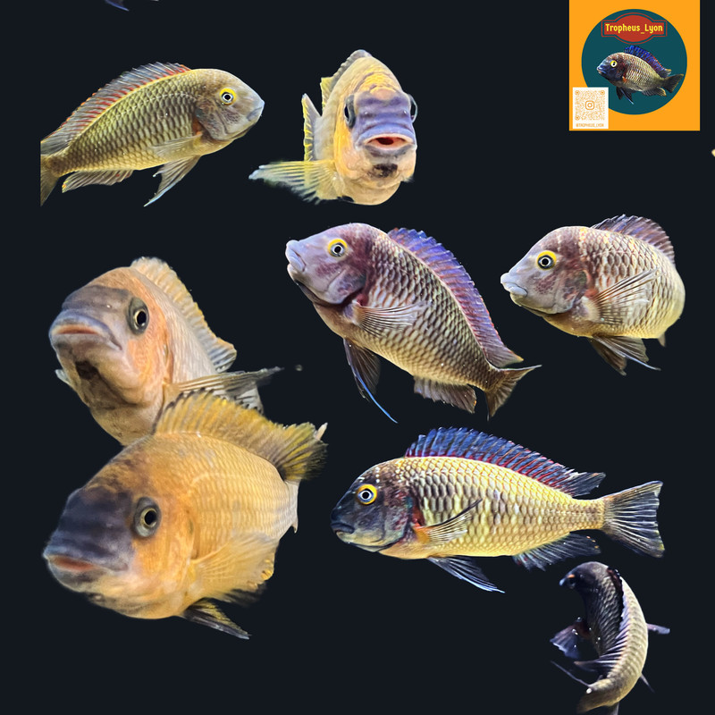 C77F923C-7CED-4B32-82AC-97983688BED6