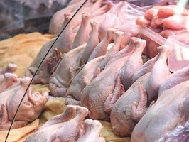 В Казахстане на розничном рынке куриного мяса выявлен ценовой сговор