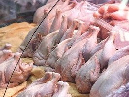 Курятина в июне подешевела на 12%