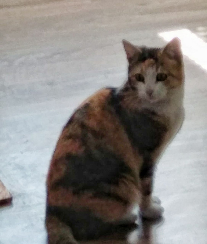 photo5307714013553078856