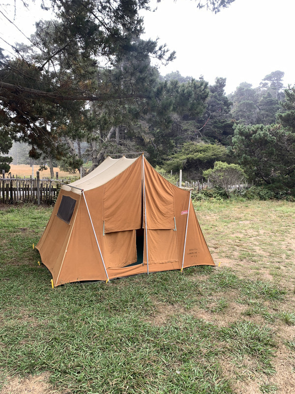 C86984D7-0425-41DE-99D9-4FFE24A9E57C