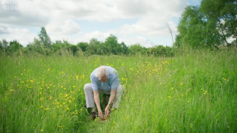 [Kép: u003.jpg]
