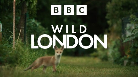 Wild London (2026) 1080p WEB-DL DUAL ENG HUN DD5.1 H.264 HUNSUB MKV