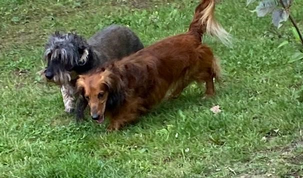 [Image: IMG-20210610-WA0000-878.jpg]