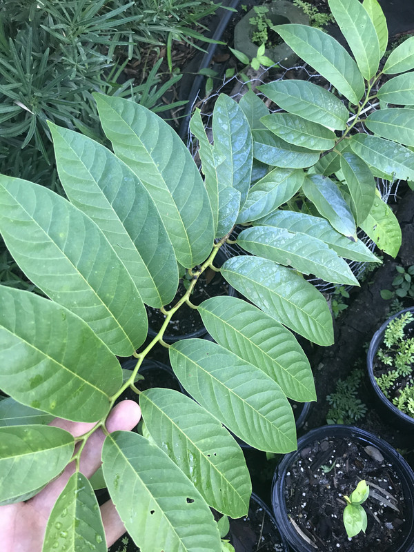 ED33AF41-0EFB-4C10-84BC-A63E3662F5BA