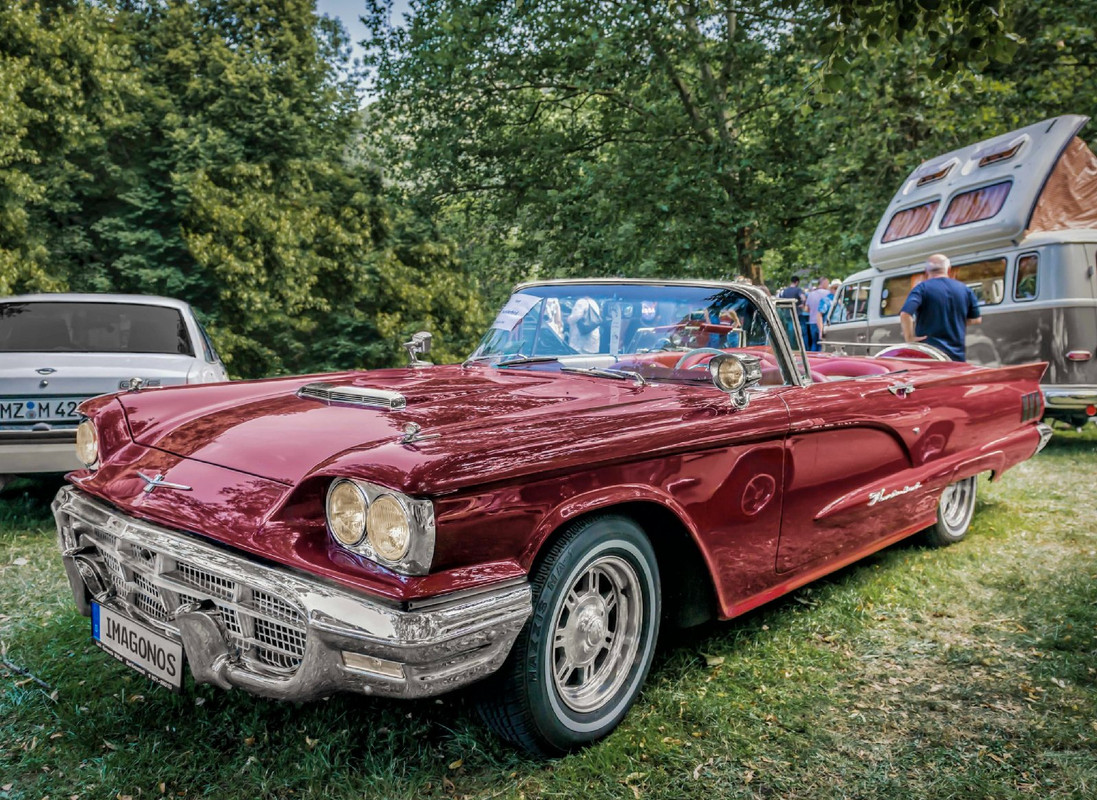 magentafordt-bird.jpg