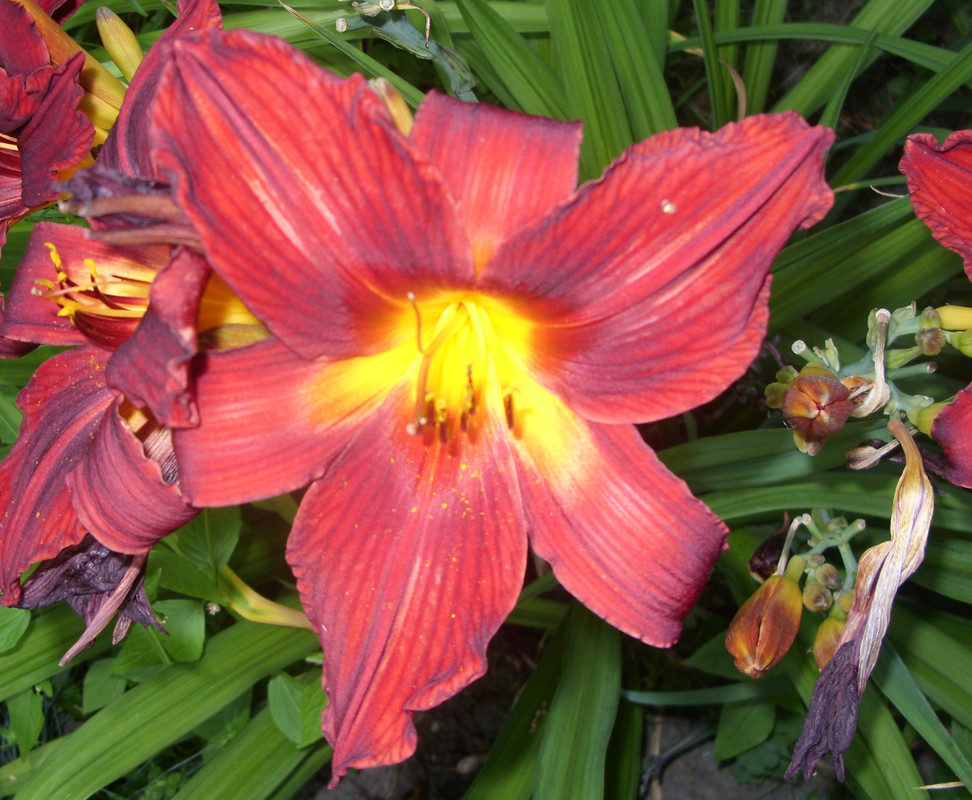SDC12896